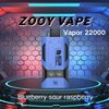 Entrepôts européens vapeur ZOOY haute capacité 22000 PUFF