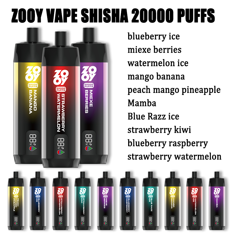 Entrepôts européens Saveurs multiples ZOOY VAPE SHIAHA 20000 PUFFS